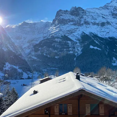 Snowflake By Interhome Apartment Grindelwald