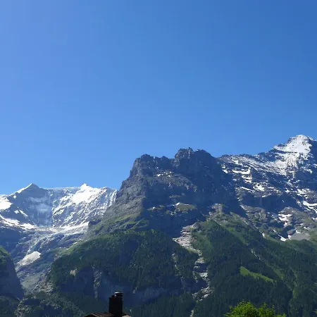 Snowflake By Interhome Apartment Grindelwald