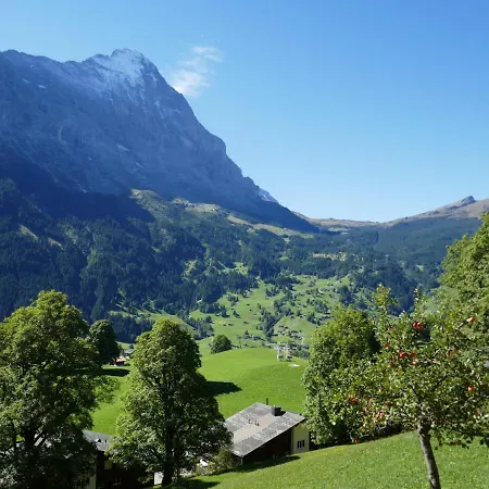 Apartament Snowflake By Interhome *