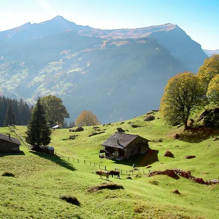 Snowflake By Interhome Apartament Grindelwald