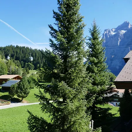 Snowflake By Interhome Apartament *