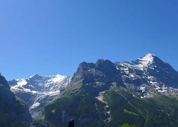 Snowflake By Interhome Appartamento Grindelwald