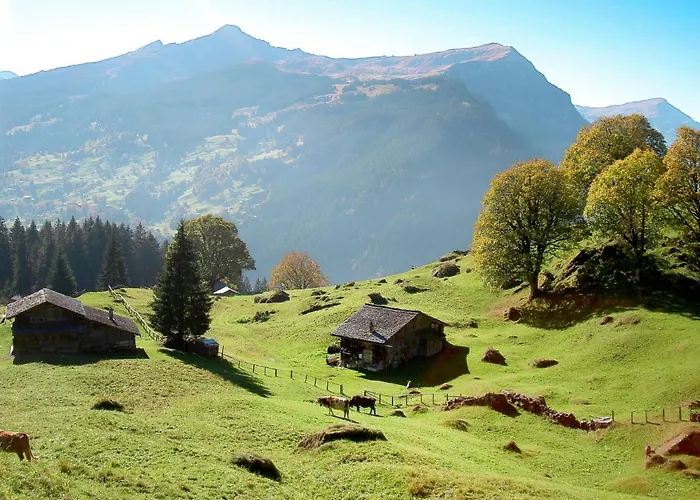 Snowflake By Interhome Appartamento Grindelwald